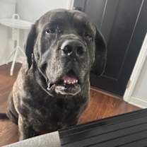 Thumbnail photo of Maya #4