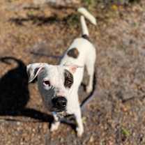 Thumbnail photo of Jonah #4