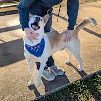 Thumbnail photo of Reeses  #3