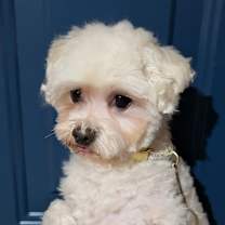 Thumbnail photo of Edwin 86 #1