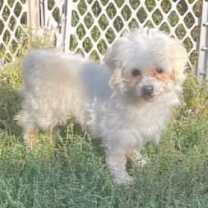 Thumbnail photo of Edwin 86 #2