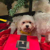 Thumbnail photo of Edwin 86 #3