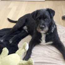 Thumbnail photo of Jack #2