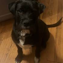 Thumbnail photo of Jack #3