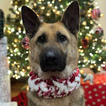 Thumbnail photo of Wendy #1