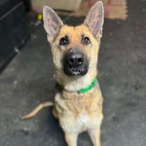 Thumbnail photo of Wendy #2