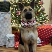 Thumbnail photo of Wendy #3