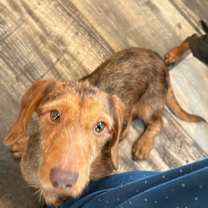 Thumbnail photo of Matt #2