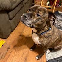 Thumbnail photo of Duncan #3