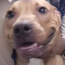 Thumbnail photo of Jason #1