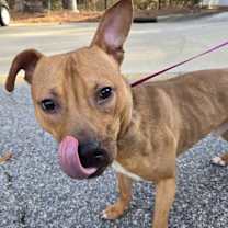 Thumbnail photo of Jason #2