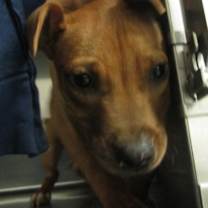 Thumbnail photo of Jason #3