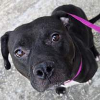 Thumbnail photo of Pamala #1