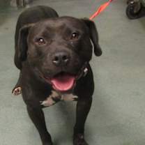 Thumbnail photo of Pamala #2