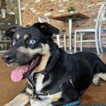 Thumbnail photo of Spyro #1