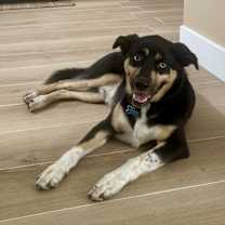 Thumbnail photo of Spyro #3