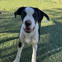 Thumbnail photo of Jayse #3