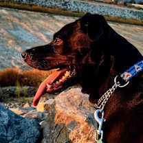 Thumbnail photo of Nayeli #2