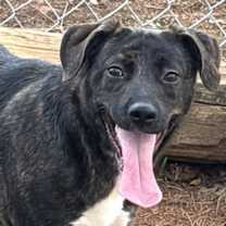 Thumbnail photo of Raisin #1