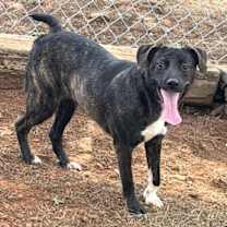 Thumbnail photo of Raisin #3