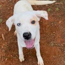 Thumbnail photo of Tito #3