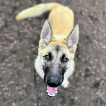 Thumbnail photo of Nivea #1