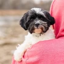 Thumbnail photo of Keaton #4