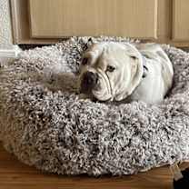 Thumbnail photo of BonBon #4