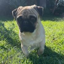 Thumbnail photo of TOBY #2