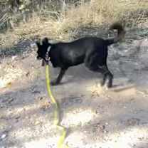 Thumbnail photo of Monte #4