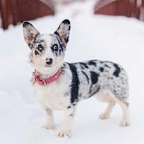 Thumbnail photo of Marble #3