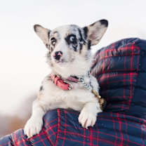 Thumbnail photo of Marble #4