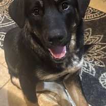 Thumbnail photo of Edward Teach Roscoe #2