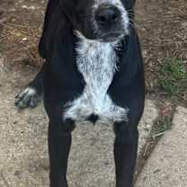 Thumbnail photo of Queeny Roscoe #2