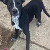 Thumbnail photo of Queeny Roscoe #3