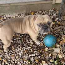 Thumbnail photo of Ledger #3