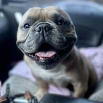 Thumbnail photo of Ledger #4