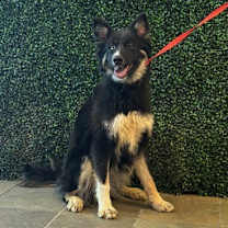 Thumbnail photo of 59985435 #1