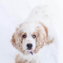 Thumbnail photo of Mavis #1