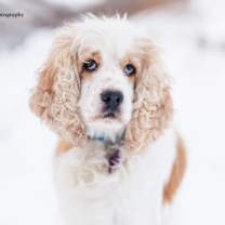 Thumbnail photo of Mavis #3