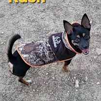 Thumbnail photo of Rush TE #1