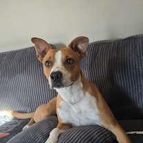 Thumbnail photo of Chance #1