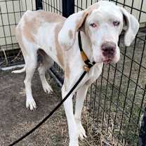 Thumbnail photo of Minnie  #1