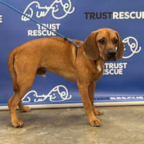 Thumbnail photo of FLETCHER #4