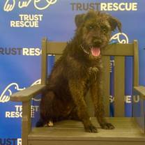 Thumbnail photo of CRICKET #4