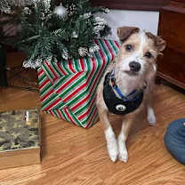 Thumbnail photo of BOOTS #2