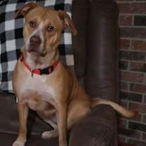 Thumbnail photo of Preston #2