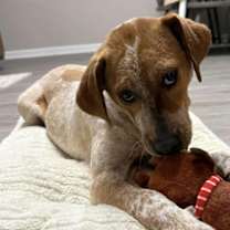 Thumbnail photo of Pumpkin #2