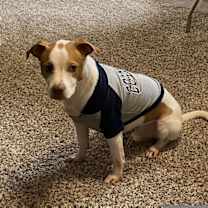 Thumbnail photo of Bishop (New Digs) #2