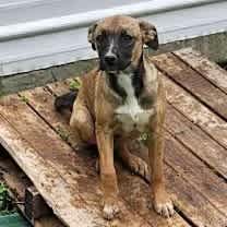 Thumbnail photo of Denim #1